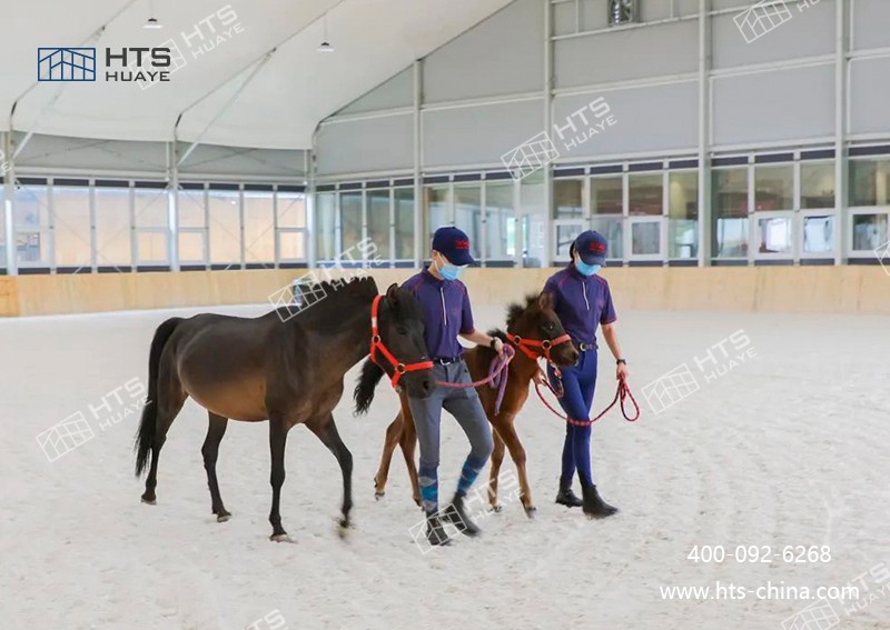 馬術館篷房高效統籌，打造校園馬術新地標